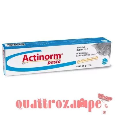 Ceva salute animale actinorm pasta gatti 65 gr