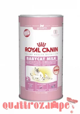 Royal Canin Babycat Milk gatto gr 300 Latte in polvere