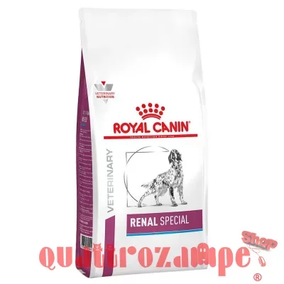 Royal Canin Renal Special 10 kg Cane