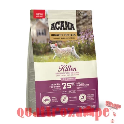 Acana Cat Kitten Highest Protein 1,8 kg Crocchette Gattini