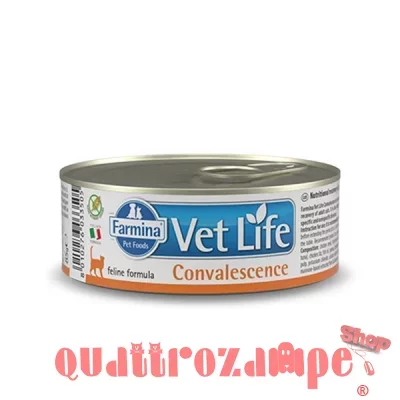 Farmina Vet Life Convalescence 85 gr Scatoletta Umido Gatti