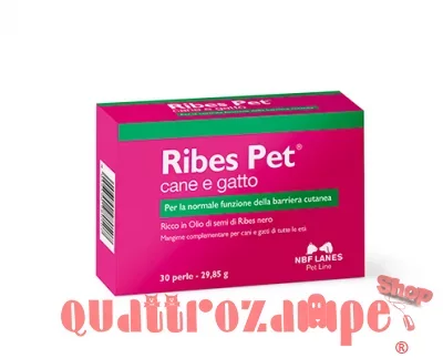 NBF Lanes Ribes Pet 30 Perle