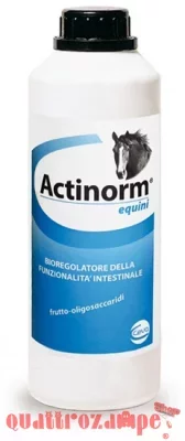Ceva salute animale actinorm equini 700 gr