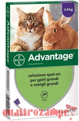 Bayer Advantage 80 mg Per Gatto oltre 4 kg 4 Pipette Antiparassitario