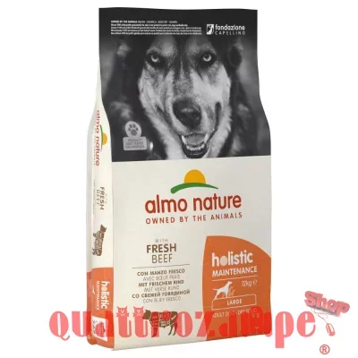 Almo Nature Holistic Large Adult Manzo 12 kg Cane
