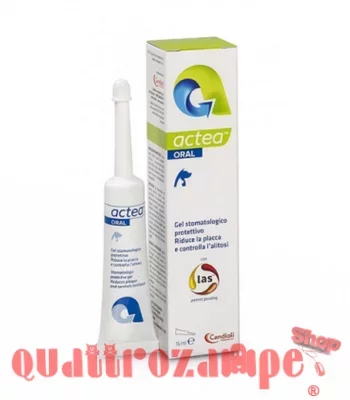 Candioli Actea Oral Gel Stomatologico 15 ml