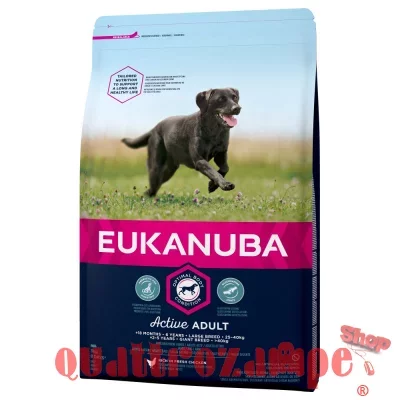 Eukanuba Active Adult Large Breed Pollo 12 kg (ex formato 15 kg)