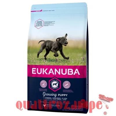 Eukanuba Growind Puppy Large Breed Pollo 12 kg (ex formato 15 kg)