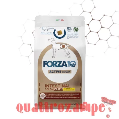Forza 10 Active Vet Diet Intestinal Colon Fase 2 Agnello 10 Kg Crocchette Per Cani