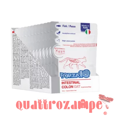 Forza 10 Active Intestinal Colon 100 Gr Bustina Umido Gatto