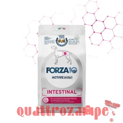 Forza 10 Active Vet Diet Intestinal 4 kg Crocchette Per Cane