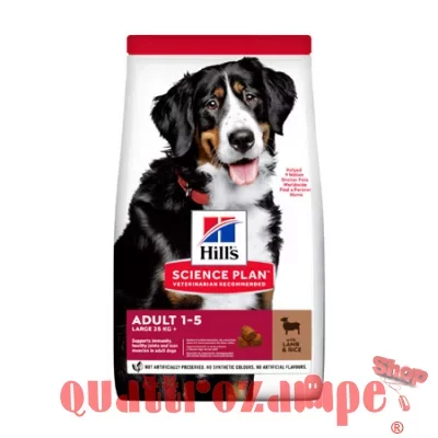 Hill's Science Plan Cane Adult Large Breed Agnello 14 kg