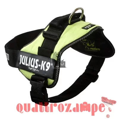 Pettorina Julius K9 Power Verde tg 2 Per Cane