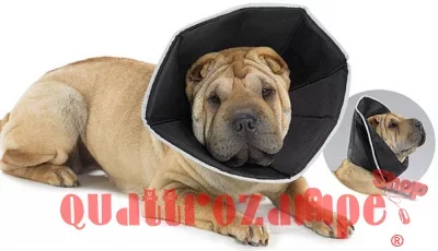 Candioli Comfy Cone Large 26 Cm Collare Elisabetta