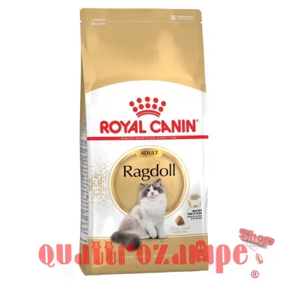 Royal Canin Ragdoll Adult 2 Kg Alimentazione Gatto