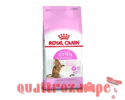 Royal Canin Kitten Sterilised 3,5 Kg Gatto
