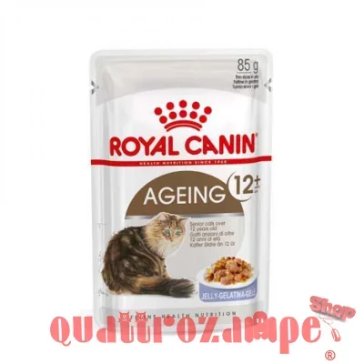 Royal Canin Ageing + 12 Jelly 85 gr In Gelatina Per Gatti