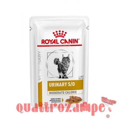 Royal Canin Urinary S/O Moderate Calorie Chicken Pollo 85 gr Umido per Gatti