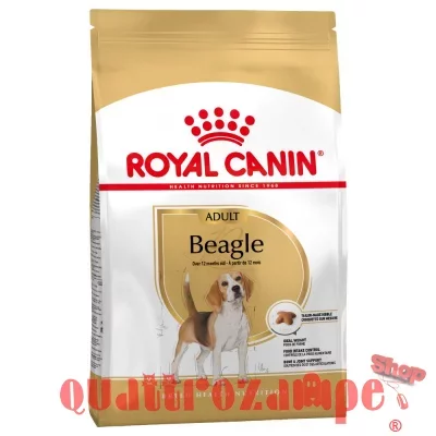 Royal Canin Beagle Adult 3 kg per Cane