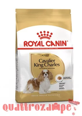 Royal Canin Cavalier King Charles Adult 1,5 kg per Cani