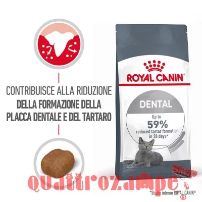 Royal Canin Dental Care 1,5 kg  per Gatto