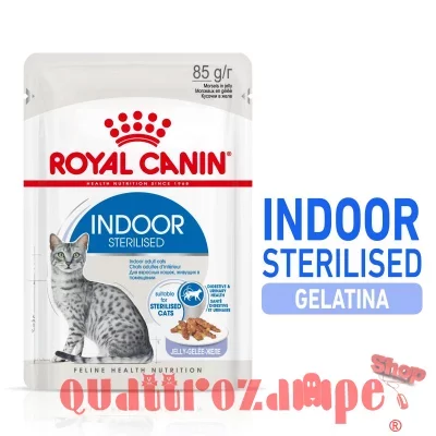 Royal Canin Indoor Sterilised Jelly 85 gr In Gelatina Per Gatti