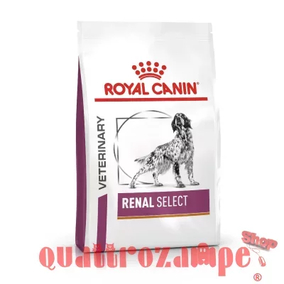 Royal Canin Renal Select 10 kg Cane