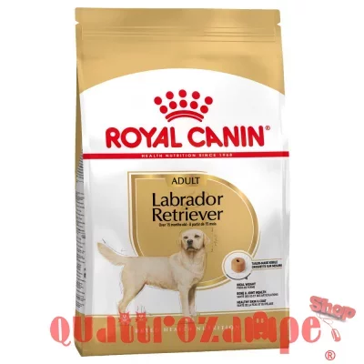 Royal Canin Labrador Retriever Adult 3 kg Cibo Per Cani di Razza