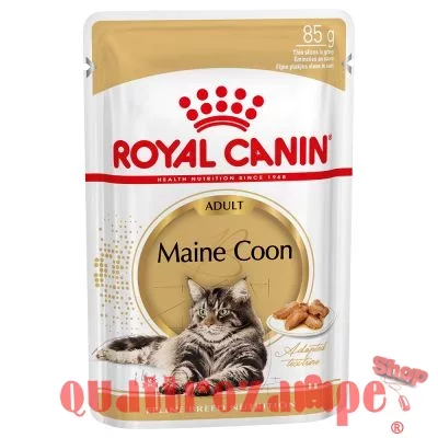 Royal Canin Breed Maine Coon Umido 85 gr Per Gatti