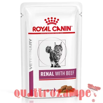 Royal Canin Renal Beef Manzo 85 gr Busta Umido Gatto