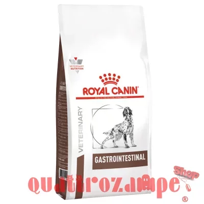 Royal Canin Gastro Intestinal 2 kg Gastrointestinale Cane