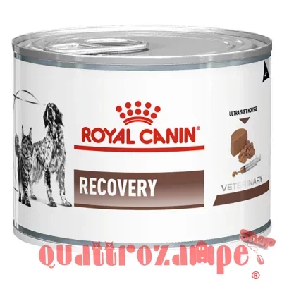 Royal Canin Recovery Veterinary Diet 195 gr Cane e Gatto