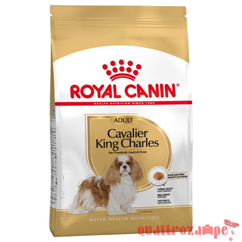 Royal Canin Cavalier King Charles Adult per Cani