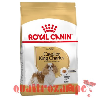 Royal Canin Cavalier King Charles Adult per Cani