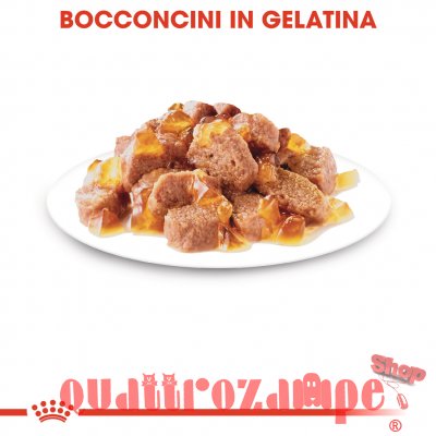 Royal Canin Ageing + 12 Jelly 85 gr In Gelatina Per Gatti