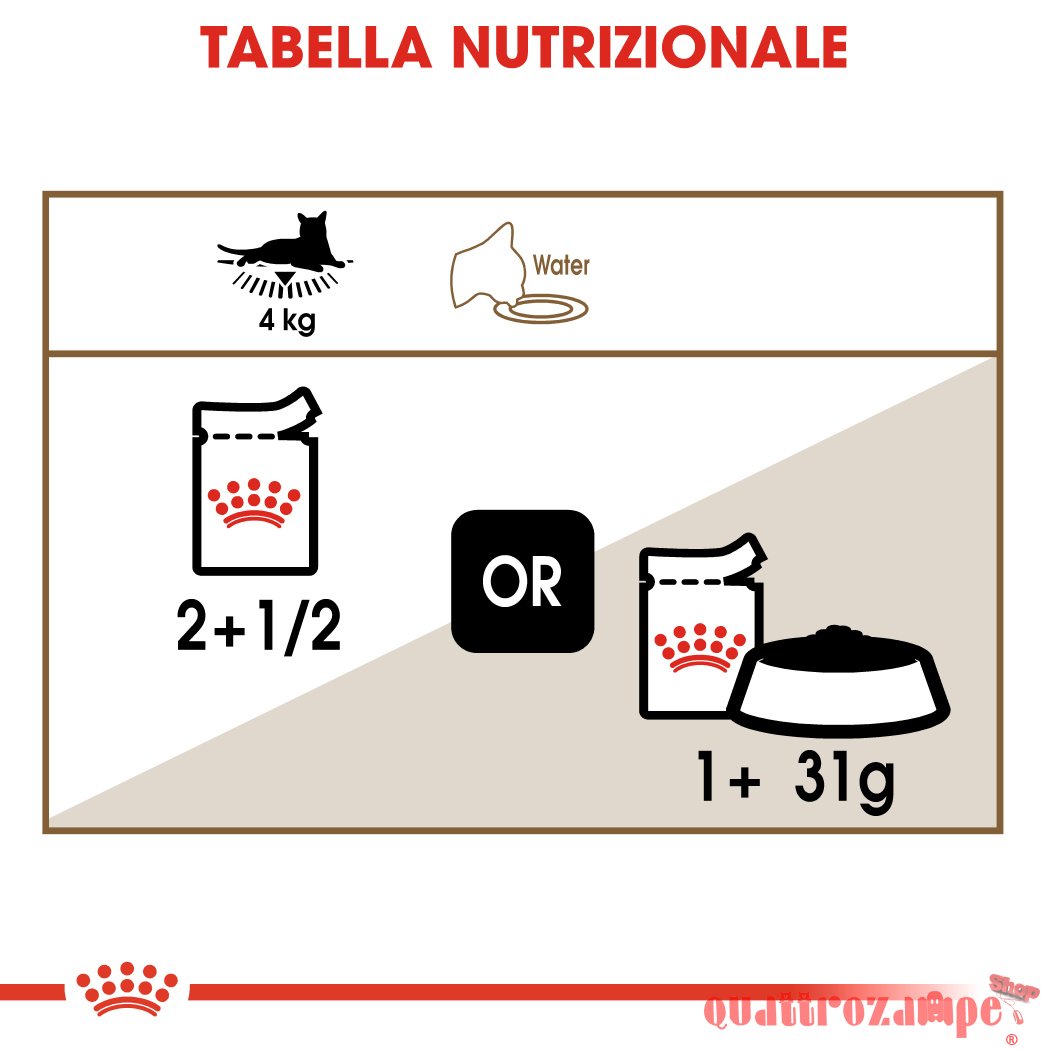 Royal Canin Ageing + 12 Jelly 85 gr In Gelatina Per Gatti