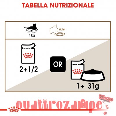 Royal Canin Ageing + 12 Jelly 85 gr In Gelatina Per Gatti