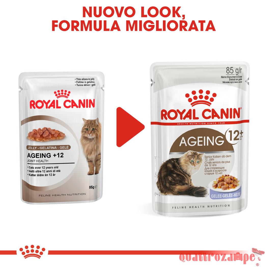 Royal Canin Ageing + 12 Jelly 85 gr In Gelatina Per Gatti