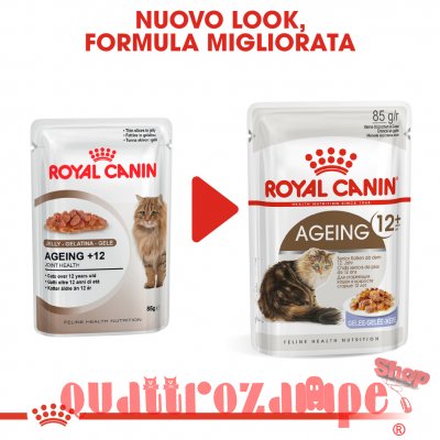 Royal Canin Ageing + 12 Jelly 85 gr In Gelatina Per Gatti