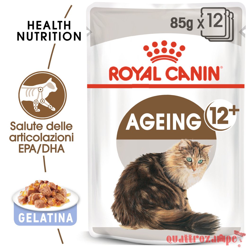 Royal Canin Ageing + 12 Jelly 85 gr In Gelatina Per Gatti