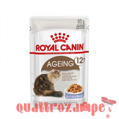 Royal Canin Ageing + 12 Jelly 85 gr In Gelatina Per Gatti