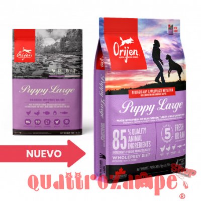 Orijen Puppy Large Per Cane Cucciolo Taglia Grande