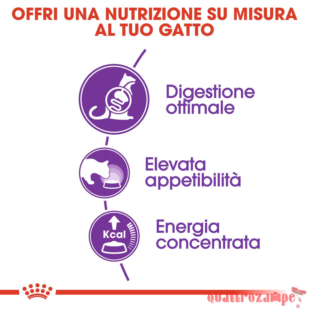 Royal Canin Regular Sensible 33 Croccantini Per Gatti