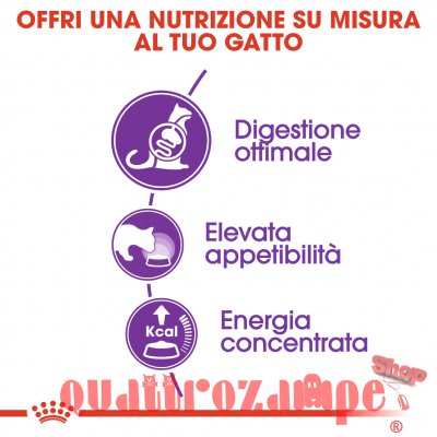Royal Canin Regular Sensible 33 Croccantini Per Gatti