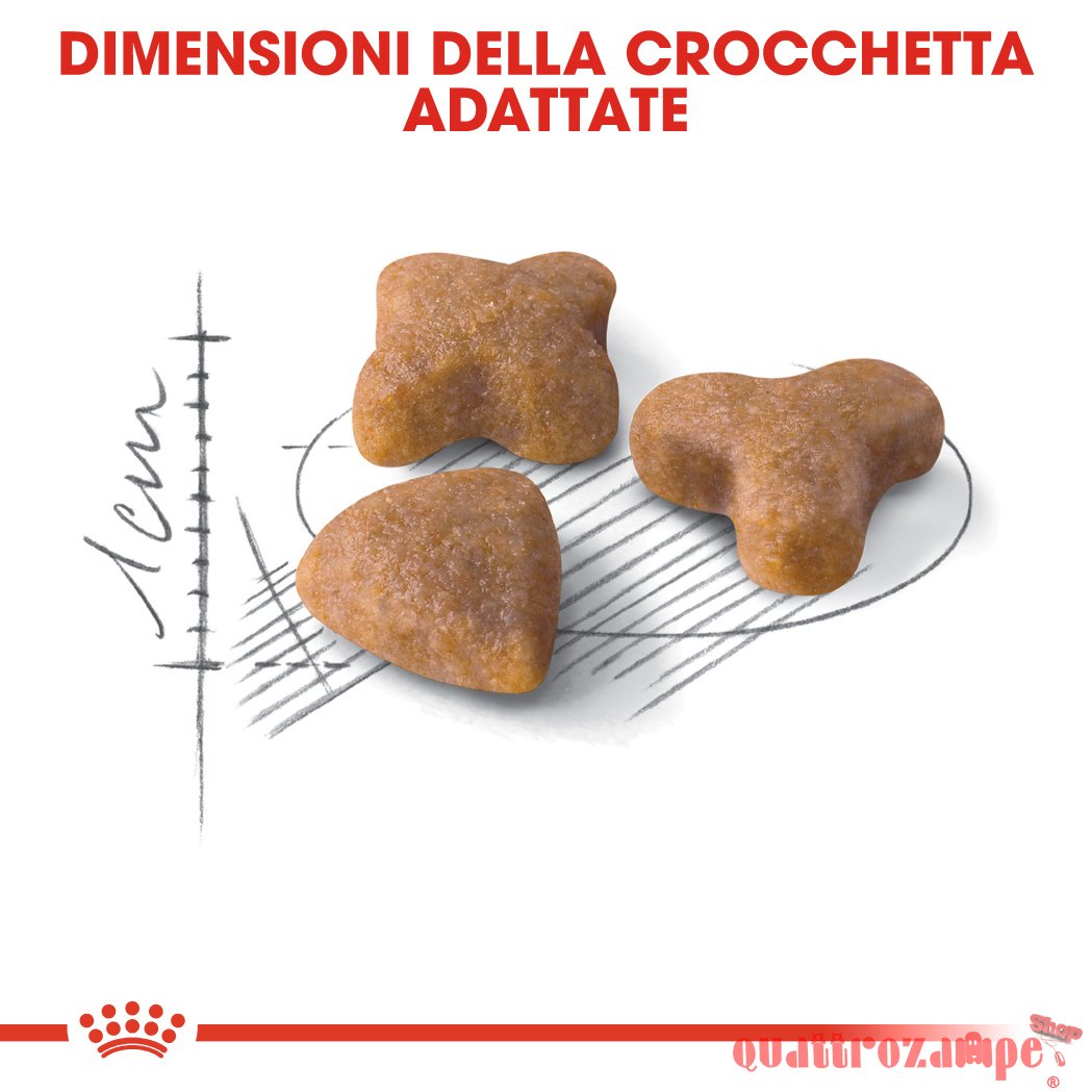 Royal Canin Regular Sensible 33 Croccantini Per Gatti