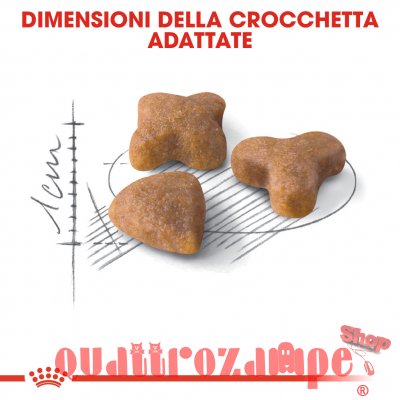 Royal Canin Regular Sensible 33 Croccantini Per Gatti