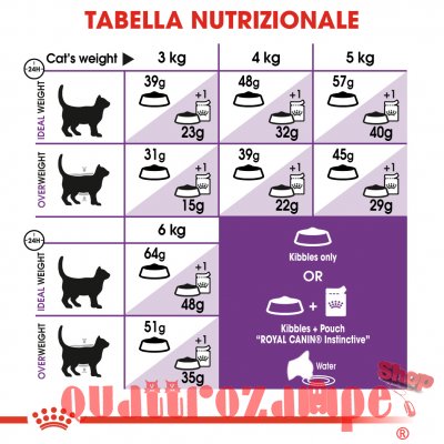 Royal Canin Regular Sensible 33 Croccantini Per Gatti