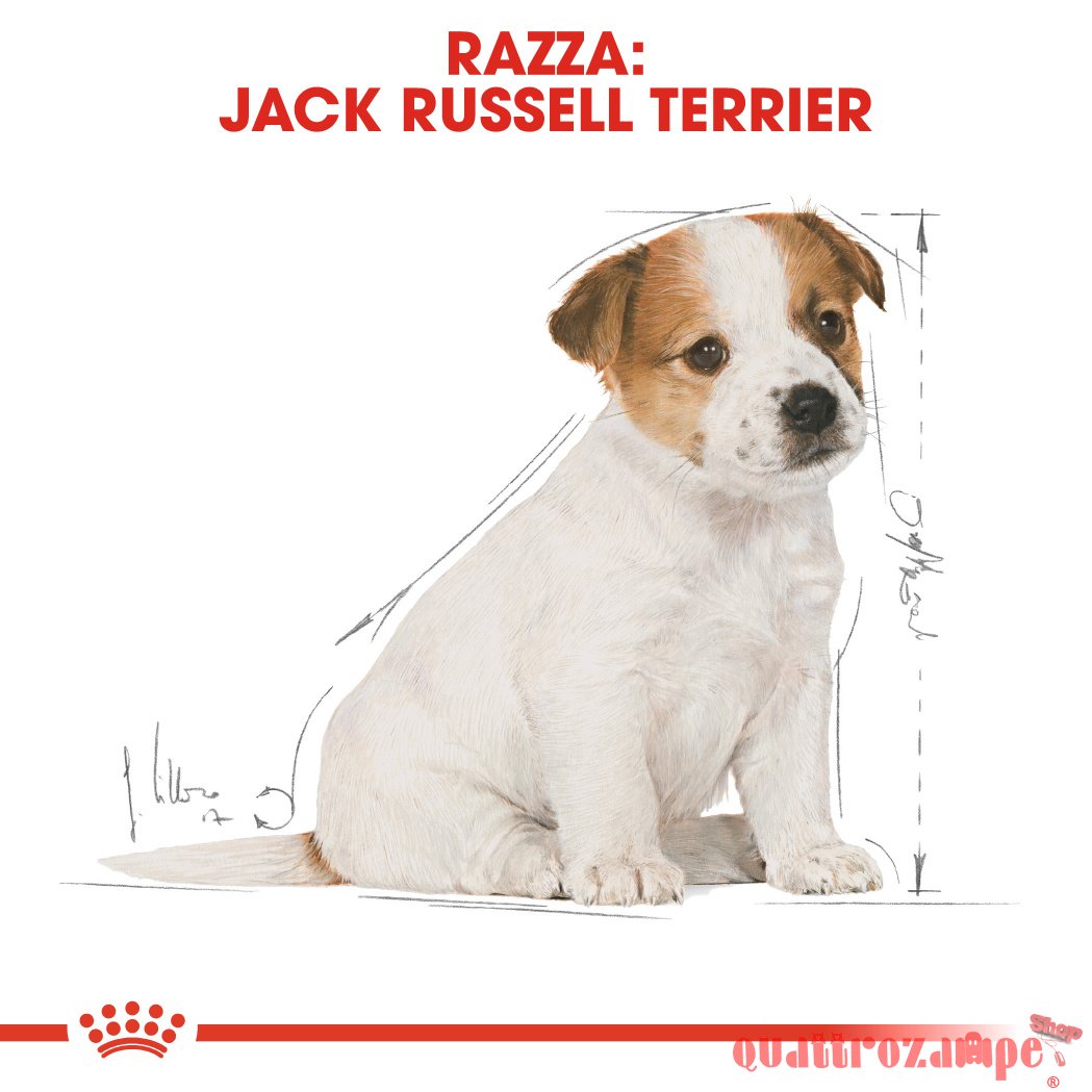 Royal Canin Jack Russel Terrier Puppy 1,5 kg