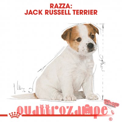 Royal Canin Jack Russel Terrier Puppy 1,5 kg