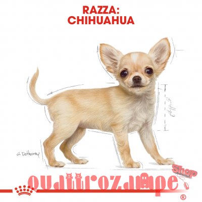 Royal Canin Chihuahua PUPPY 1,5 kg